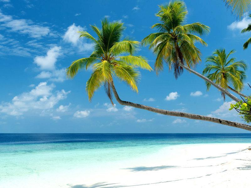 Mercure Maldives Kooddoo Adults-Only Resort - 35 Percent Off Return Domestic Transfers For Two Adults Until September Viligili Εξωτερικό φωτογραφία